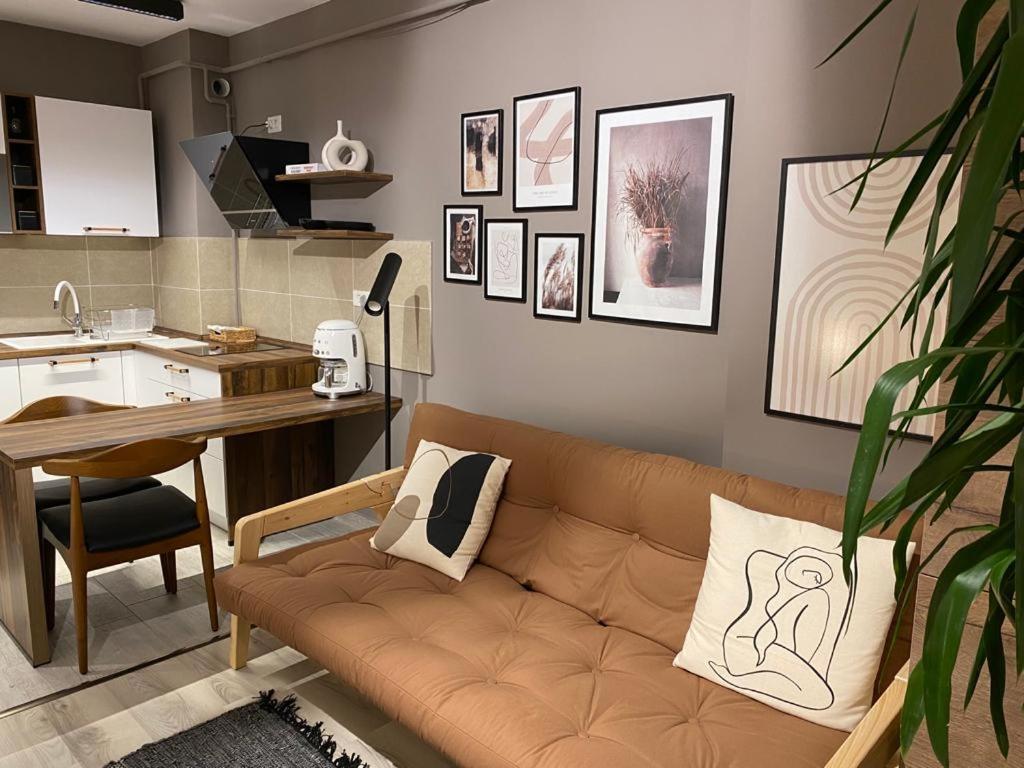 Shi Zi Junior Suite Iasi Exterior photo
